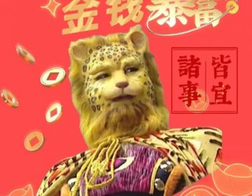 速领！金钱豹头像合集，祝大家早日实现财富自由！